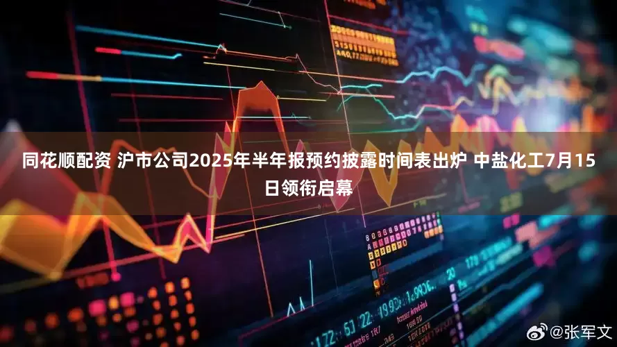 同花顺配资 沪市公司2025年半年报预约披露时间表出炉 中盐化工7月15日领衔启幕