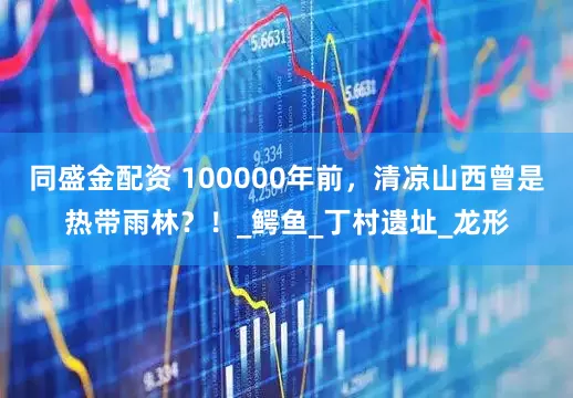 同盛金配资 100000年前，清凉山西曾是热带雨林？！_鳄鱼_丁村遗址_龙形