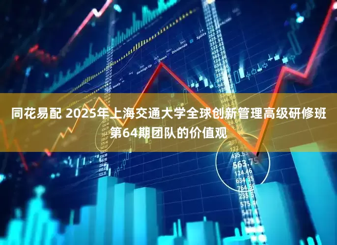 同花易配 2025年上海交通大学全球创新管理高级研修班第64期团队的价值观